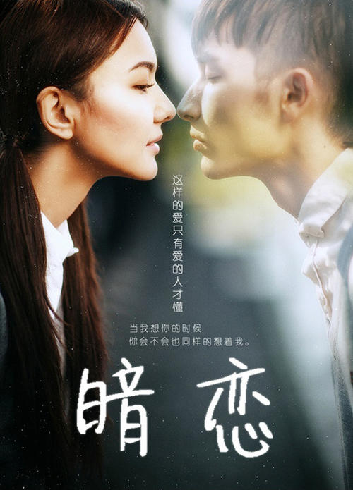 仿制塔斯马尼亚州驾照